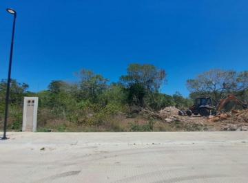 Terreno / Lote , Mérida · Terreno Residencial Premium 483 m² con Campo de Golf en Privada Provincia Tamanche