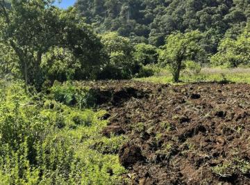 Terreno / Lote , Tepoztlán · Lotes Premium en Amatlán - Vive en La Energía de Tepoztlán