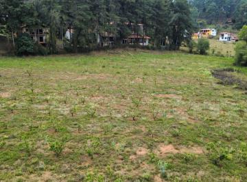 Terreno / Lote , Mazamitla · Terreno Plano en Venta Mazamitla