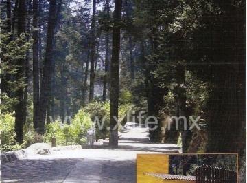 287ad026414d8ee9fccf95bf0fa8f3d2e80d6122e353ecc196275455e4569b60 · Terreno en Condomininio El Oyamel, Condominio Horizontal