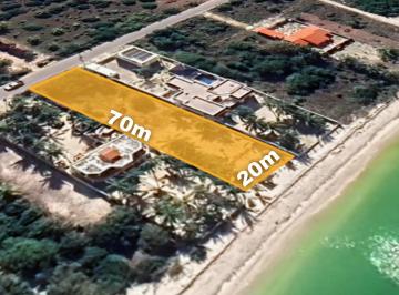 Terreno / Lote , Celestún · Terreno Frente Al Mar en Celestún | 20 m de Playa | Propiedad Privada