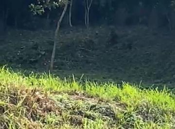 Terreno / Lote , Poza Rica de Hidalgo · Terreno Poza Rica, Veracruz
