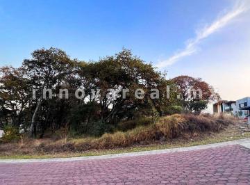 Terreno / Lote , Atizapán de Zaragoza · Ocotes Esquina Olivos en Rancho San Juan
