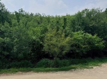 8c69995547b252673c5741aa3383fcc380bc996e522375bd24b75fdbedb83671 · Terreno en Venta Sector Campestre El Barro