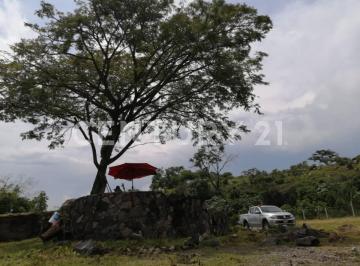 Terreno / Lote · 50m² · Predio Rustico Para Uso Comercial en Renta, Cofradia de Suchitlan, Comala, Col