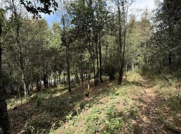 Terreno / Lote , El Oro · Terreno en Venta El Oro Pueblo Mágico