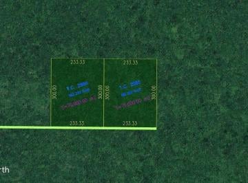 17913b871d1d248f3f6f4d12cc3152071ecfb55b3407971637cce15bb0ca23ea · Venta Macro Lote 7 Ha en Seyé, Yucatán | Oportunidad Eco