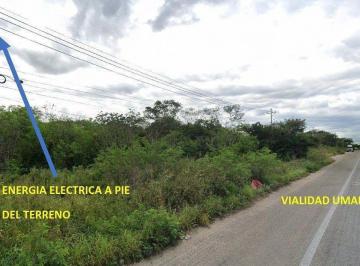 Terreno industrial · 51952m² · Terreno en Venta 5 Hectáreas $500 X m², Poxila Umán - (4)