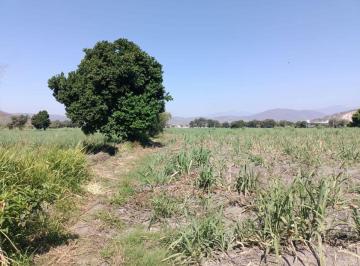 Terreno / Lote , Yautepec · Se Vende Terreno en Yautepec