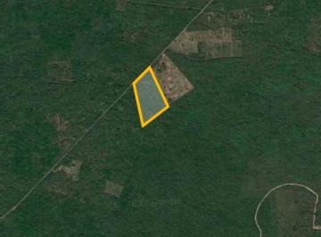 Terreno / Lote , Yaxkukul · Terreno en Venta en Yaxkukul, Yucatán.