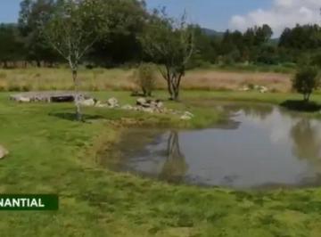Terreno / Lote , Tapalpa · Se Vende Terreneno en Praderas del Nogal Tapalpa