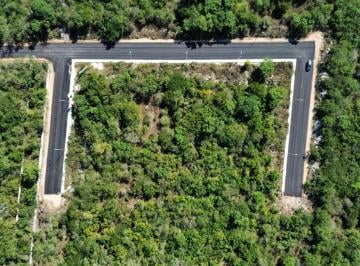 Terreno / Lote · 498m² · Terreno Residencial en Venta en Dzitya