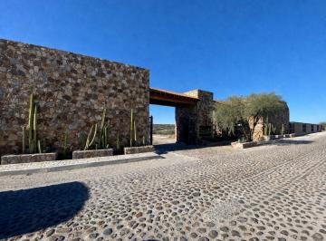 Terreno / Lote · 800m² · 1 Recámara · Terreno San Francisco San Miguel de Allende - (4)