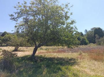 Huerta , Chignahuapan · 2.75 Hectáreas de Terreno Cerca de Aquixtla