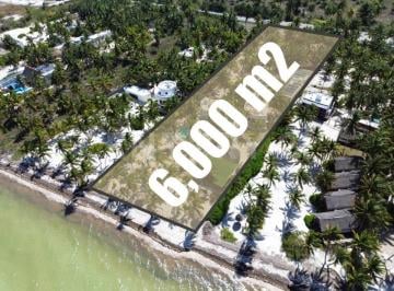 Terreno / Lote · 6000m² · Terreno en Venta en Telchac Puerto, Yucatán