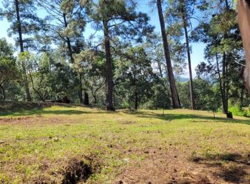 Terreno / Lote , Valle de Bravo · Gran Terreno en Venta en San Gabriel Ixtla