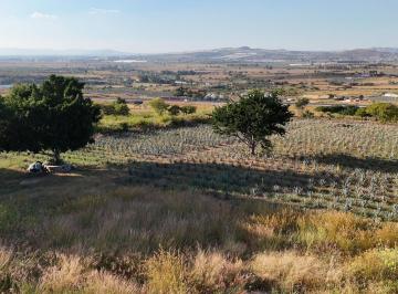 Terreno / Lote , Juanacatlán · Terreno Campestre 5,250 m² en Juanacatlán Cerca del Macrolibramiento