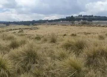 1 · Venta de Rancho de 10 Hectáreas en El Ajusco, Tlalpan, Ciudad de México