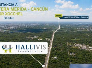 Terreno / Lote , Xocchel · Terreno en Venta Sobre Carretera Mérida–cancún