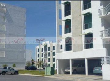 Departamento · 90m² · 3 Recámaras · 2 Estacionamientos · Departamento en Venta en Jardín Español