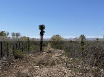 Terreno / Lote · 600000m² · Terreno / Lote en Venta en Ciudad Cerralvo