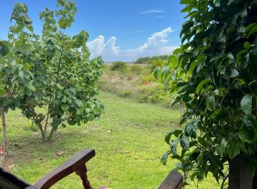 Terreno / Lote de 2 habitaciones, Tecolutla · Terreno Frente Al Mar con Cabaña de Madera
