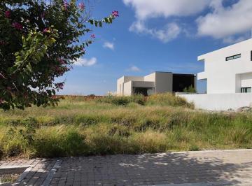 Terreno / Lote , Querétaro · Terreno Grande en La Espiga
