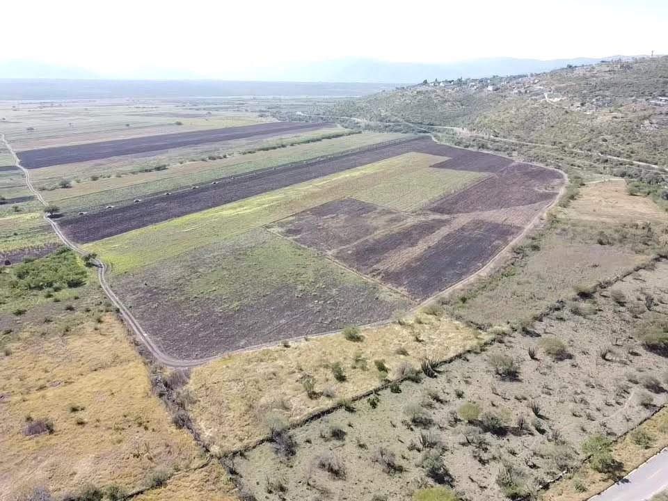 Land for Sale in San Luis Potosí, 1,040 Hectares