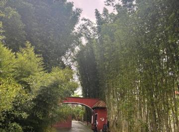 Terreno / Lote · 800m² · Terreno - Coatepec