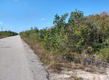 Terreno / Lote · 2540000ha · 254 Hectáreas en Xcalak Mahahual Qr. Cerca del Nuevo Proyecto de Desarrollo Urbano Xahuachol