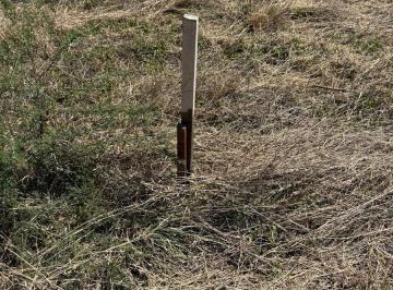 Terreno / Lote · 43000m² · Terreno en Montemorelos