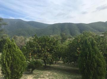 Terreno / Lote · 58294m² · 100 Estacionamientos · Terreno en Montemorelos