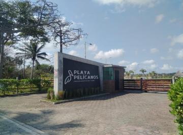 Terreno / Lote · 600m² · Terreno - Congregacion El Zapote