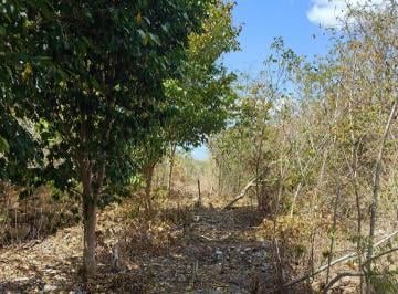 Terreno / Lote , Dzidzantún · Terreno en Venta en Zona Exclusiva