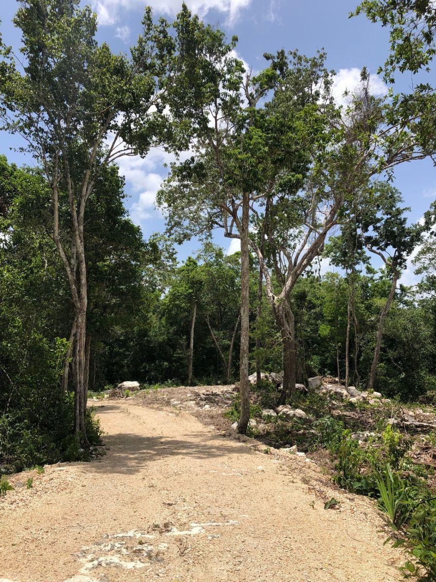 Invierte Hoy en Riviera Maya 500 m&sup2; en Tulum Coba