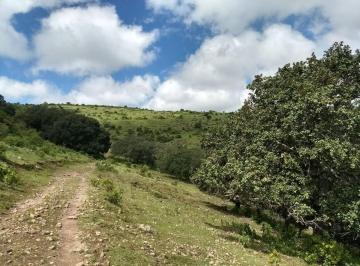 Terreno / Lote , Querétaro · Terreno en Venta con Manantial en Santa Rosa Jauregui