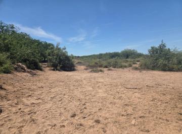 Terreno / Lote , Ahome · Terreno Agricola en Venta, Los Mochis, Ahome