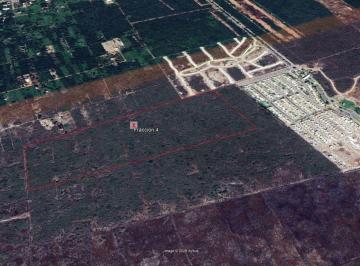 Terreno / Lote · 150007m² · Lote Premium en Venta en Xcuyun, Conkal, Yucatán.