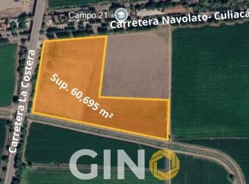 Terreno / Lote · Terreno Sobre Carretera Culiacán - Navolato