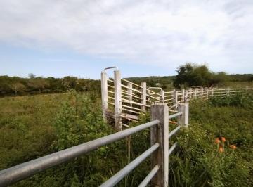 Rancho · 64000m² · Rancho en Venta Tampico Alto, Ver