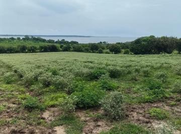 Terreno / Lote · 10000m² · Bonito Terreno en Congregación Encinal y Mesa Sn Ozuluama Veracruz
