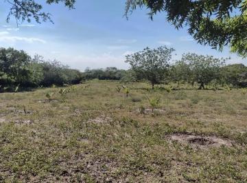 Terreno / Lote · 10000m² · Terreno en Venta en Pueblo Kilometro Cien
