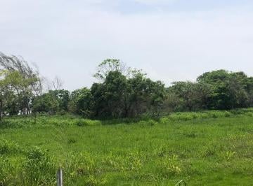 Terreno / Lote · 20206m² · Terreno en Congregación Ojital Pueblo Viejo Veracruz