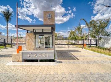 Terreno / Lote · 174m² · Terreno - Fraccionamiento Lomas de Angelópolis