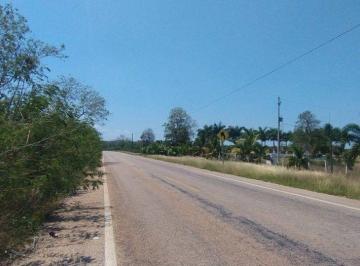 a569815c2f74cf59192bd8ed62c979f697dc5c0f941aaee1ddb8c20d6bae8770 · Venta de 300 Ha Sobre Calle Pavimentada