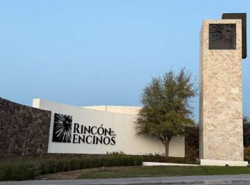 Casa de 4 habitaciones, Saltillo · Casa en Venta en Rincón de Los Encinos, Saltillo Norte – Nueva, Rooftop y 3 Niveles