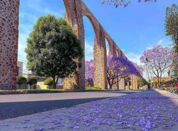 Casa de 3 habitaciones, Querétaro · Casa con 250 m² Superficie de Terreno y 3 Recámaras en Renta en Querétaro Cerca de Los Arcos