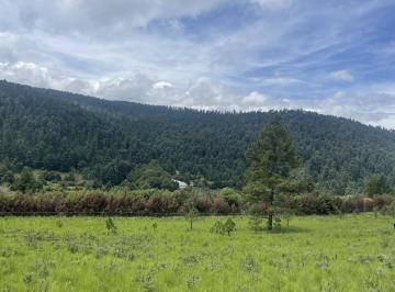Terreno / Lote · 39626m² · Terreno Ideal Para Desarrollar en Cañada de Alferez con Espectacular Vista