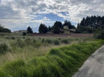 Terreno / Lote · 3000m² · Terreno Plano en Ejido La Campana