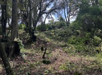Terreno / Lote · 750m² · Terreno en Venta Eucaliptos 8